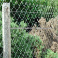 Green Chain Link Fence